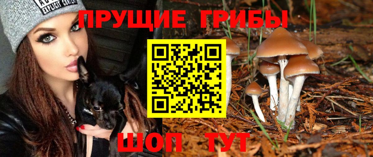 Галлюциногенные грибы мухоморы Алатырь