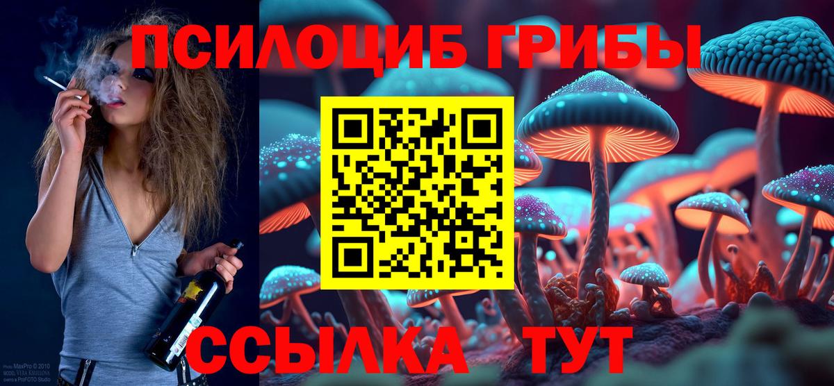 Галлюциногенные грибы прущие грибы  как найти   Галлюциногенные грибы Cubensis  Алатырь  Вход с VPN 