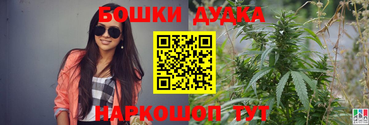 Конопля ГИДРОПОН  Вход с VPN  Алатырь  Бошки Шишки VHQ 